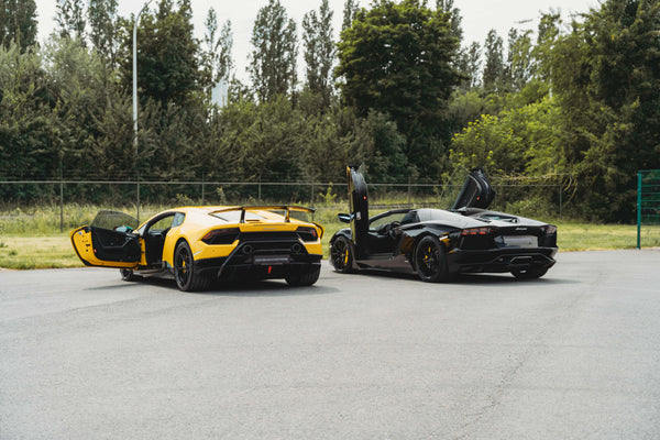 Lamborghini Aventador Roadster LP 700-4